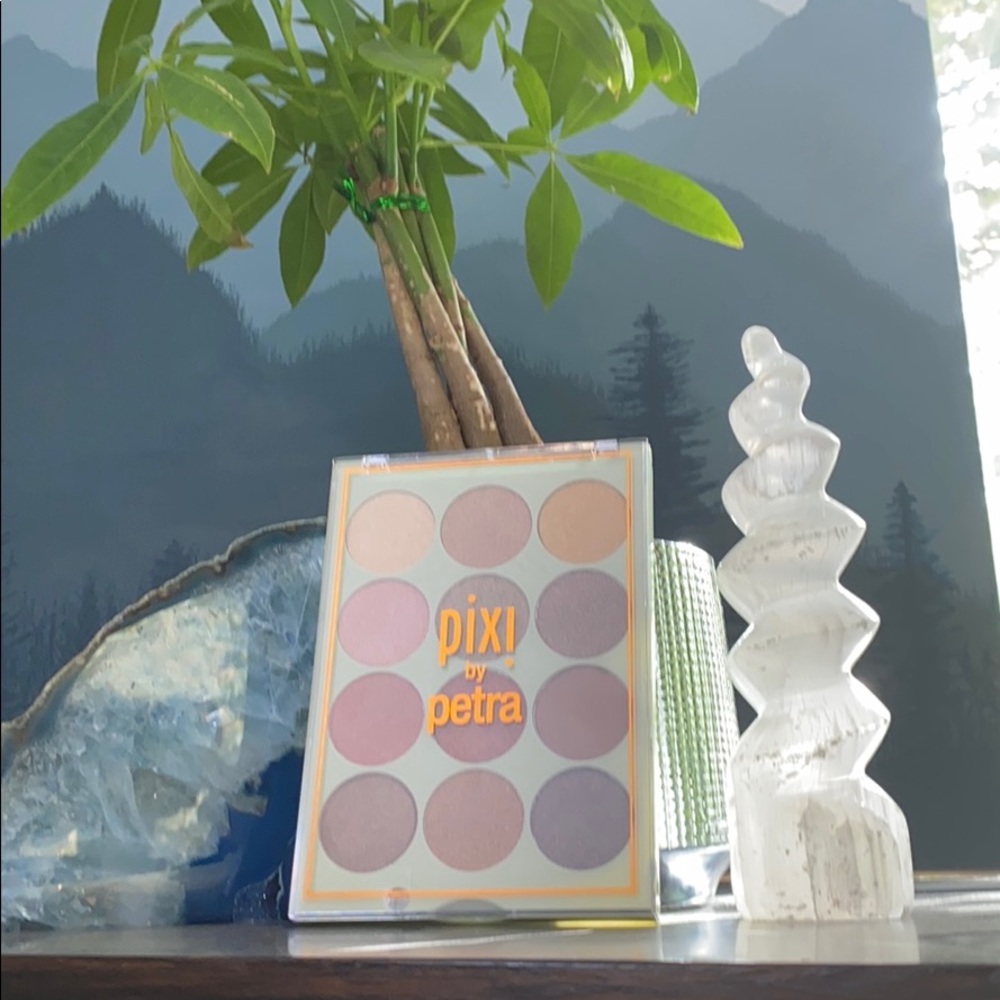 NWOT Pixi Eye Reflection Shadow Palette
